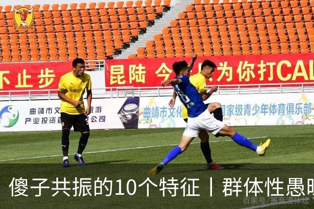 傻子共振的10个特征丨群体性愚昧