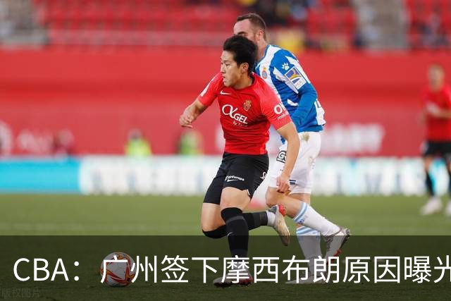 CBA：广州签下摩西布朗原因曝光，朱芳雨有望回归宏远，黄明依4年B类合同续约，崔永熙接班人登陆CBA
