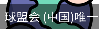 球盟会